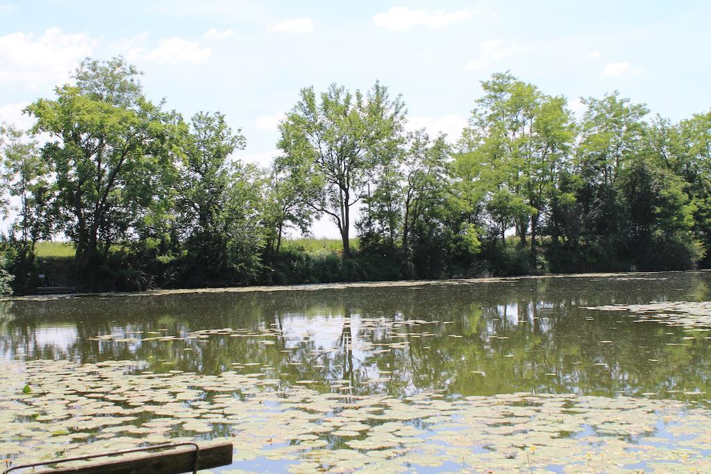 Ponty-Poronty Vendeghaz Otel Nagybaracska Dış mekan fotoğraf